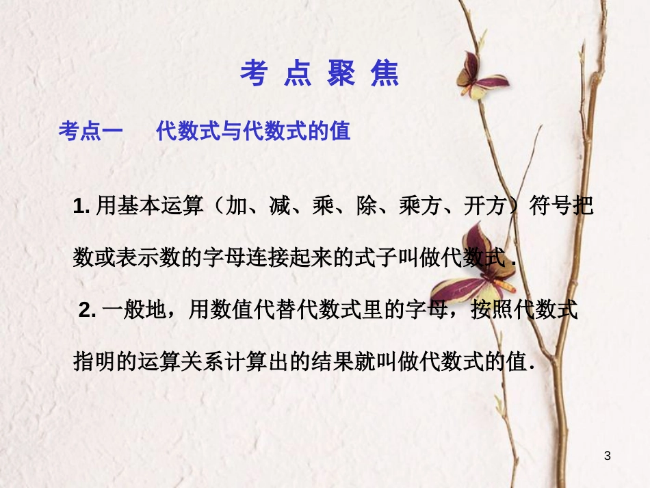 中考数学总复习 第一部分 基础篇 第一章 数与式 考点2 整式与因式分解课件_第3页