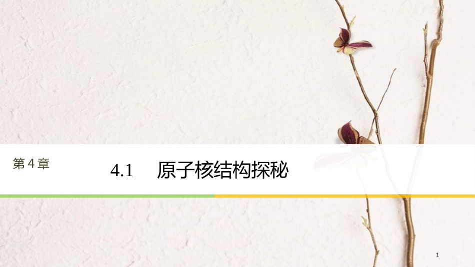 高中物理 第4章 从原子核到夸克 4.1 原子核结构探秘课件 沪科版选修3-5_第1页