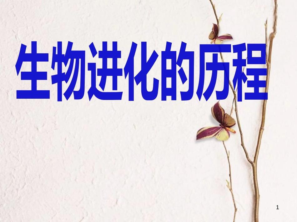 八年级生物下册 第7单元 第3章 第2节 生物进化的历程课件 （新版）新人教版_第1页