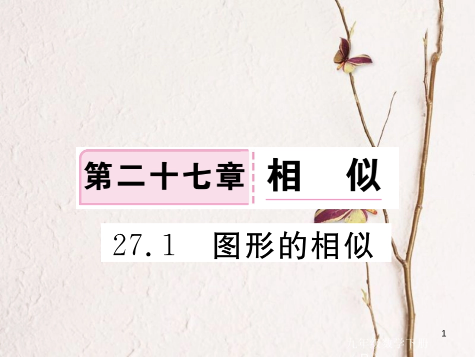江西省2018年春九年级数学下册 第二十七章 相似 27.1 图形的相似练习课件 （新版）新人教版_第1页