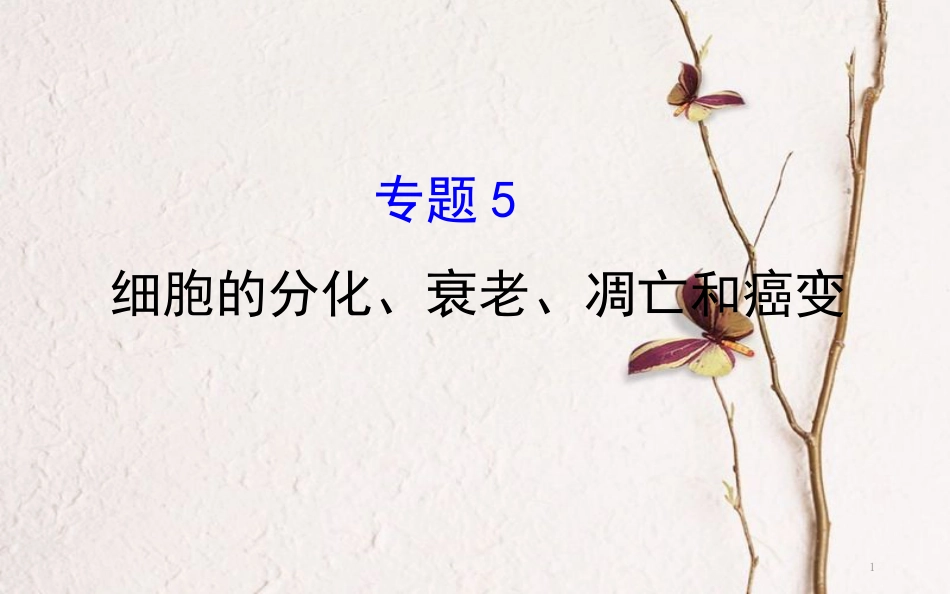 高三生物二轮复习 2.5 专题5 细胞的分化、衰老、凋亡和癌变课件_第1页
