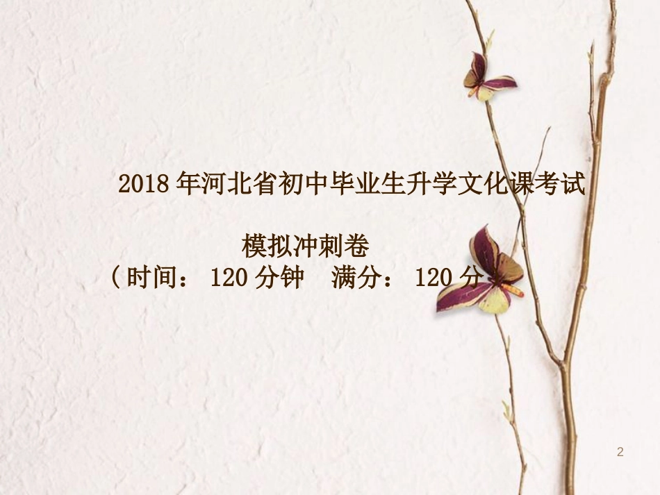 河北省中考数学复习 模拟冲刺卷课件_第2页