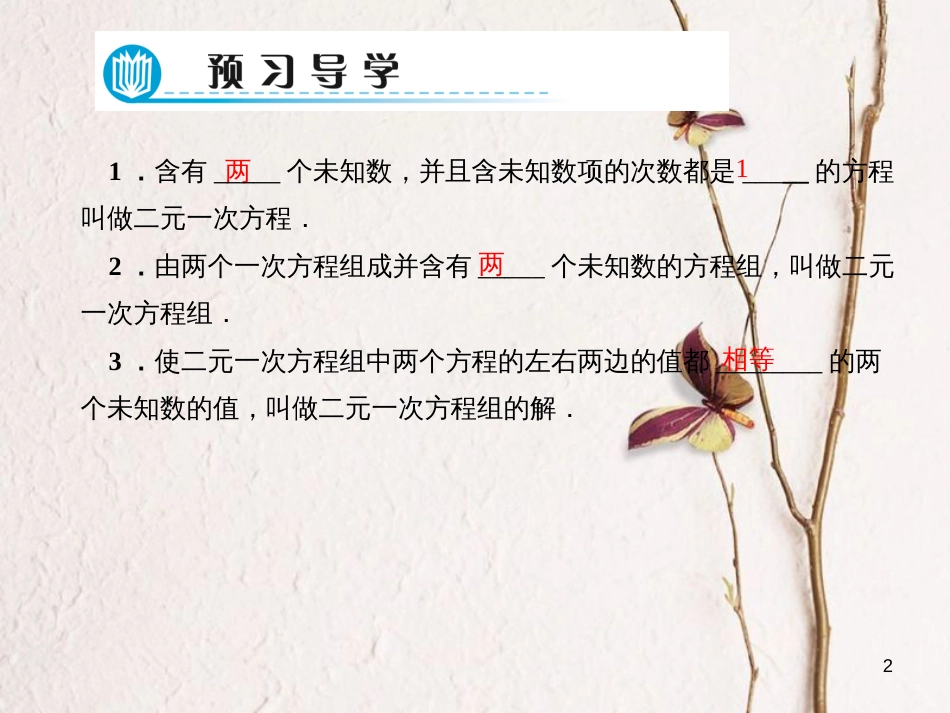 七年级数学下册 第7章 一次方程组 7.1 二元一次方程组和它的解习题课件 （新版）华东师大版_第2页