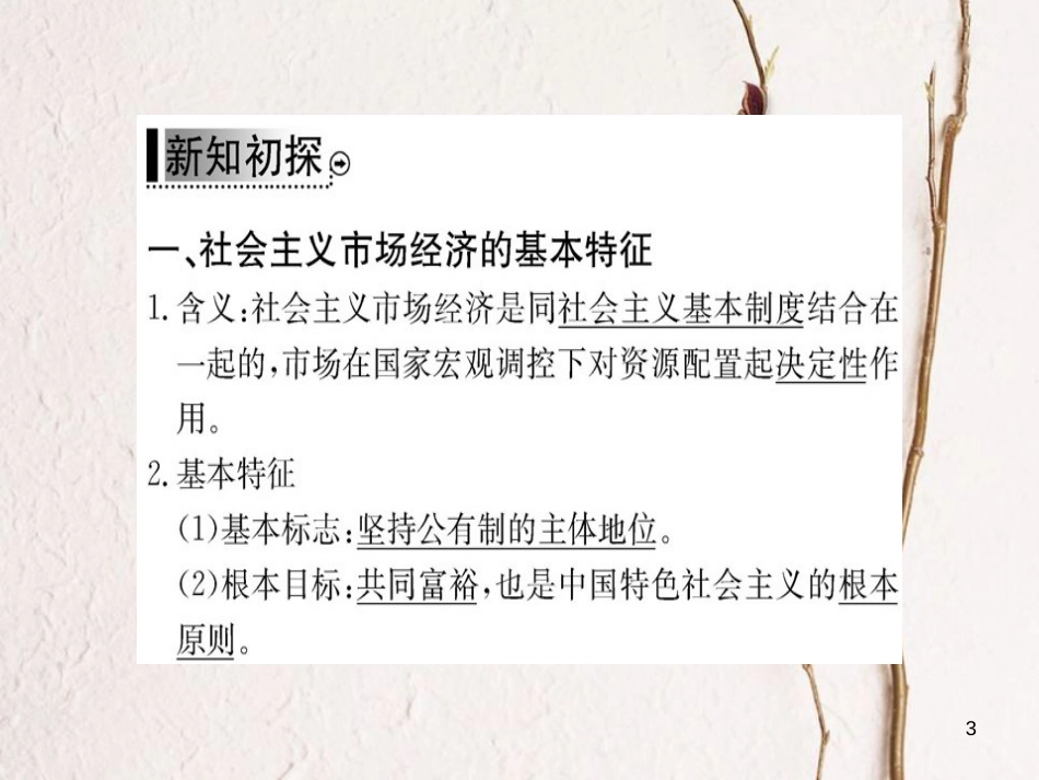 高中政治 第四单元 发展社会主义市场经济 第九课 走进社会主义市场经济 第二框 社会主义市场经济课件 新人教版必修1_第3页