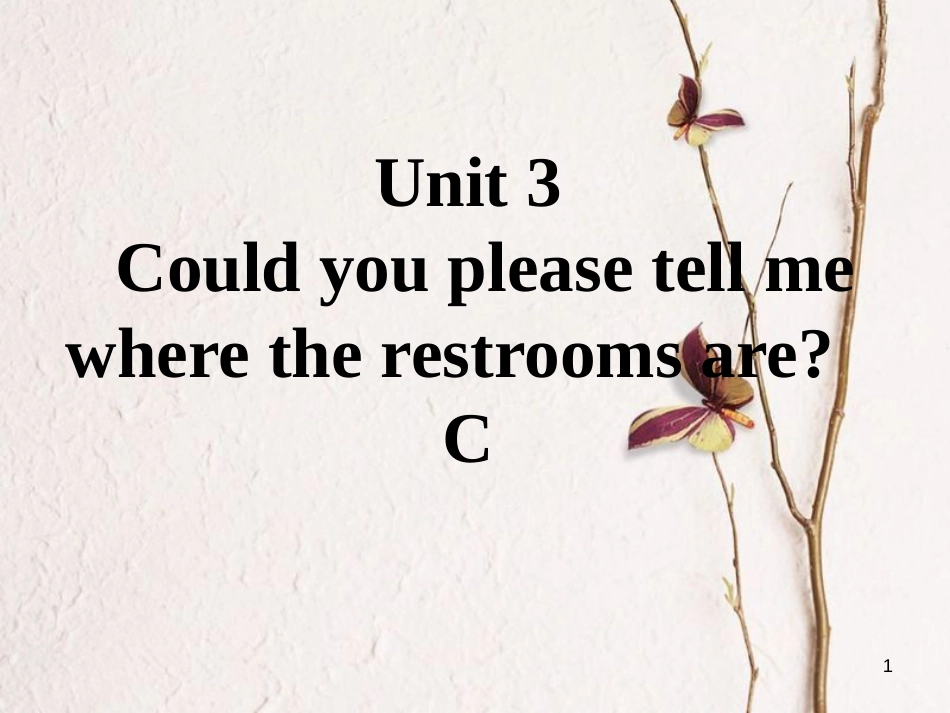 九年级英语全册 口头表达专练 Unit 3 Could you please tell me where the restrooms are C课件 （新版）人教新目标版_第1页