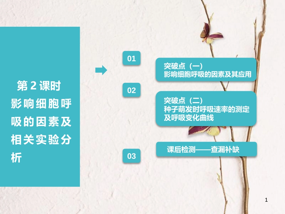 （全国通用版）2019版高考生物一轮复习 第1部分 分子与细胞 第三单元 细胞的能量供应和利用 第2讲 第2课时 影响细胞呼吸的因素及相关实验分析课件_第1页