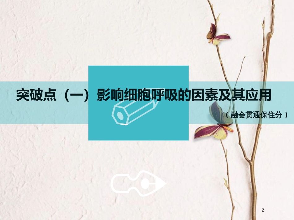 （全国通用版）2019版高考生物一轮复习 第1部分 分子与细胞 第三单元 细胞的能量供应和利用 第2讲 第2课时 影响细胞呼吸的因素及相关实验分析课件_第2页