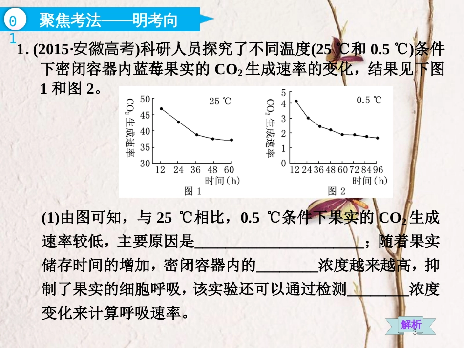 （全国通用版）2019版高考生物一轮复习 第1部分 分子与细胞 第三单元 细胞的能量供应和利用 第2讲 第2课时 影响细胞呼吸的因素及相关实验分析课件_第3页