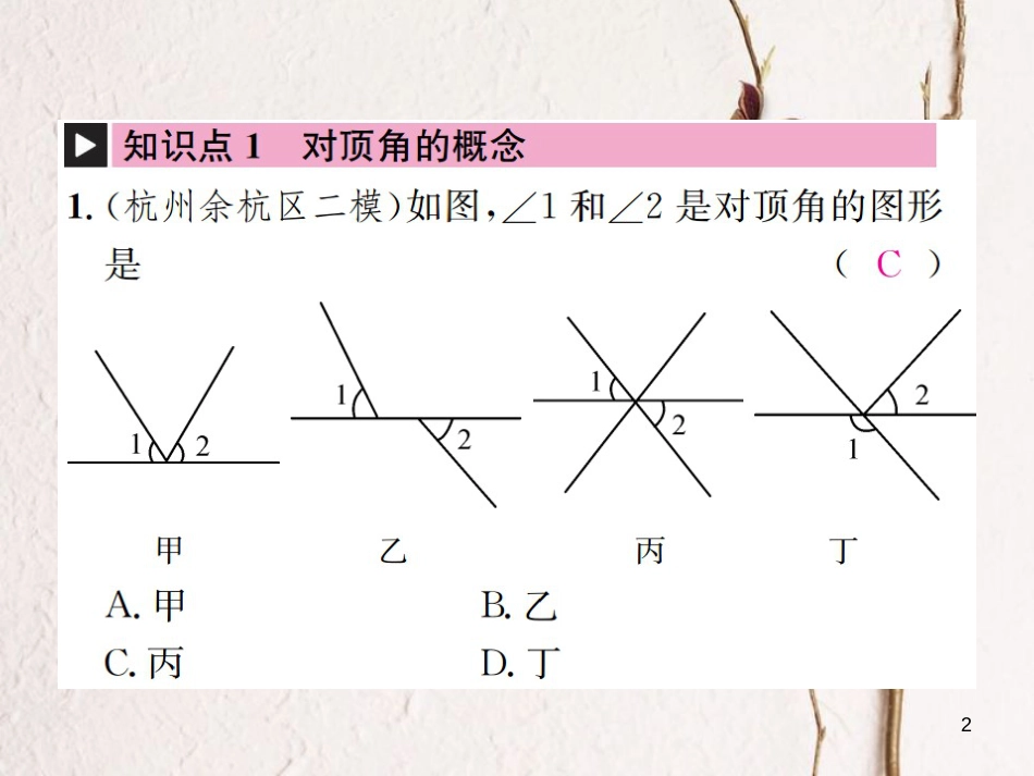 七年级数学上册 6.9 直线的相交 第1课时 对顶角习题课件 （新版）浙教版_第2页