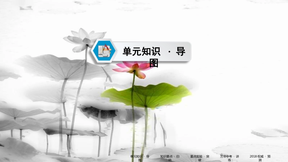 中考化学 第一部分 教材同步复习 第6单元 课件_第2页