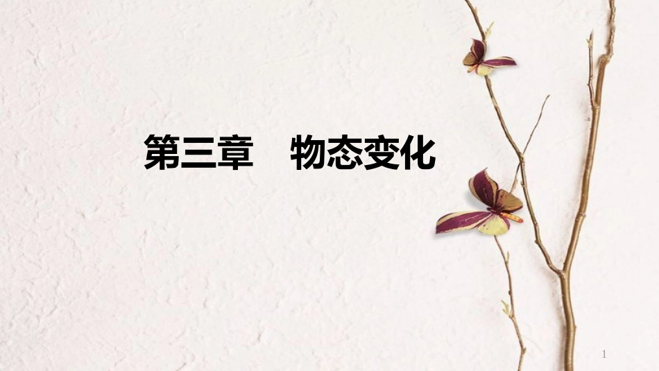中考物理 基础过关复习 第三章 物态变化课件 新人教版_第1页