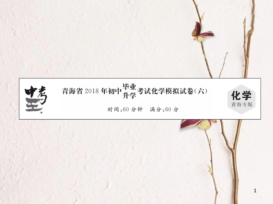 （青海专版）中考化学复习 毕业升学考试模拟试卷(六)课件_第1页