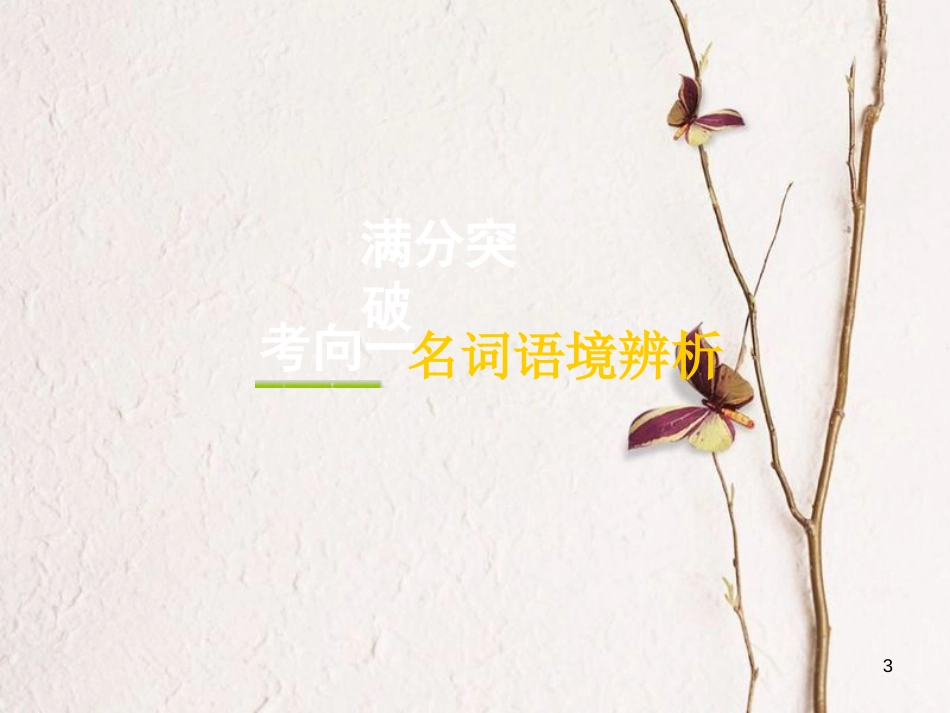 云南省中考英语复习 第二部分 语法专题研究 专题一 名词课件_第3页