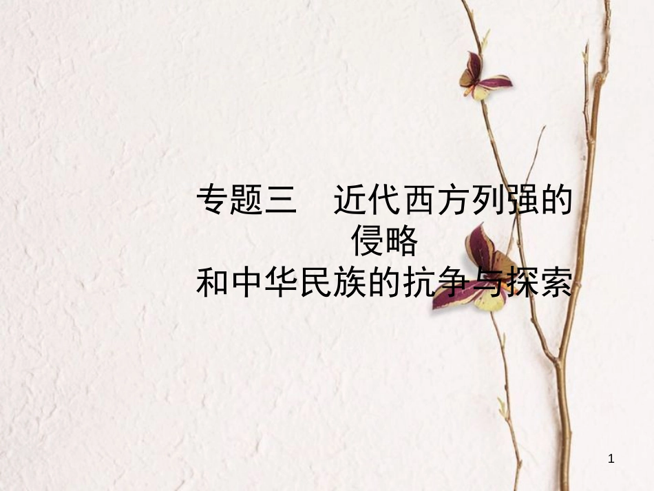 山东省德州市中考历史总复习 专题三 近代西方列强的侵略和中华民族的抗争与探索课件_第1页