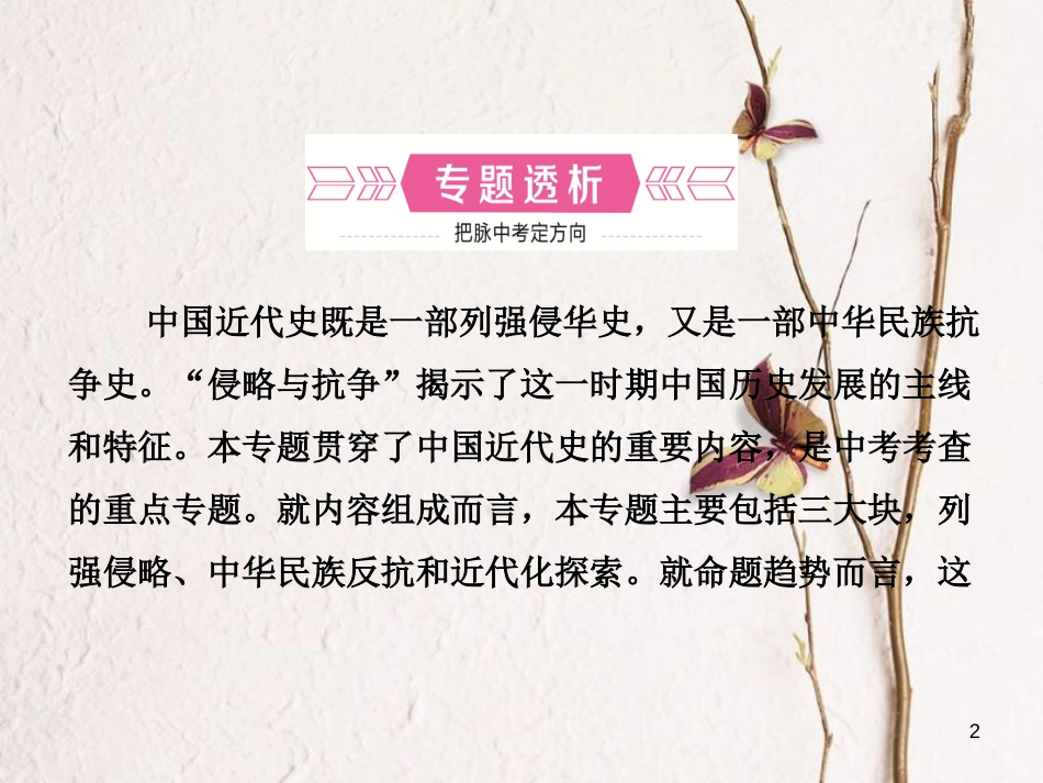 山东省德州市中考历史总复习 专题三 近代西方列强的侵略和中华民族的抗争与探索课件_第2页