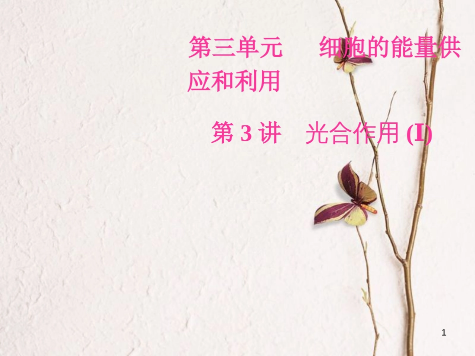 2019版高考生物总复习 第三单元 细胞的能量供应和利用 第3讲 光合作用（Ⅰ）课件_第1页