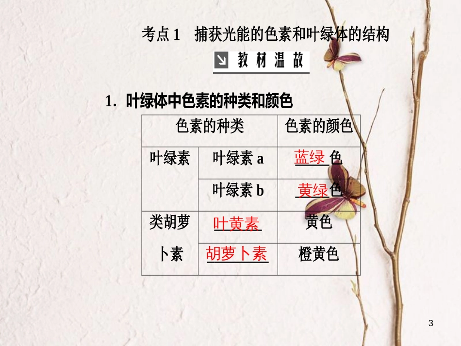 2019版高考生物总复习 第三单元 细胞的能量供应和利用 第3讲 光合作用（Ⅰ）课件_第3页