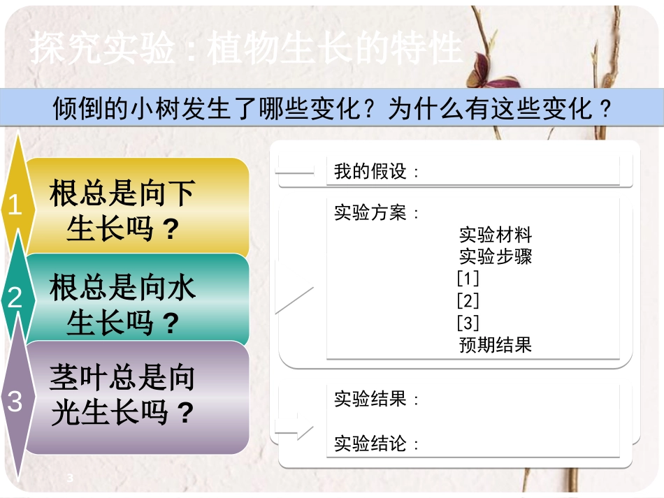 六年级科学上册 1.1 一棵顽强的小树课件3 湘教版_第3页