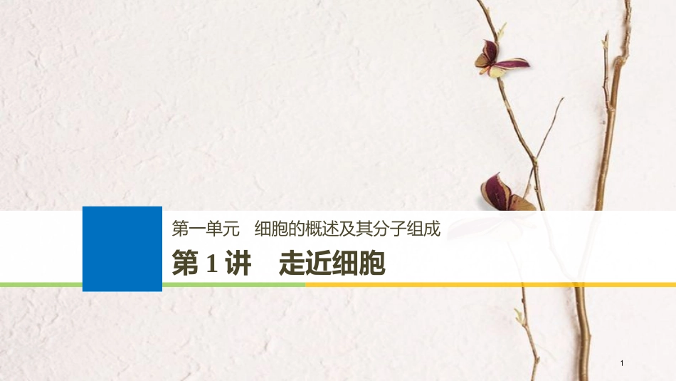 （江苏通用）2019版高考生物大一轮复习 第一单元 细胞的概述及其分子组成 第1讲 走近细胞课件_第1页