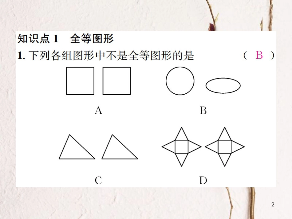 八年级数学上册 2.5 全等三角形 第1课时 全等三角形及其性质习题课件 （新版）湘教版_第2页