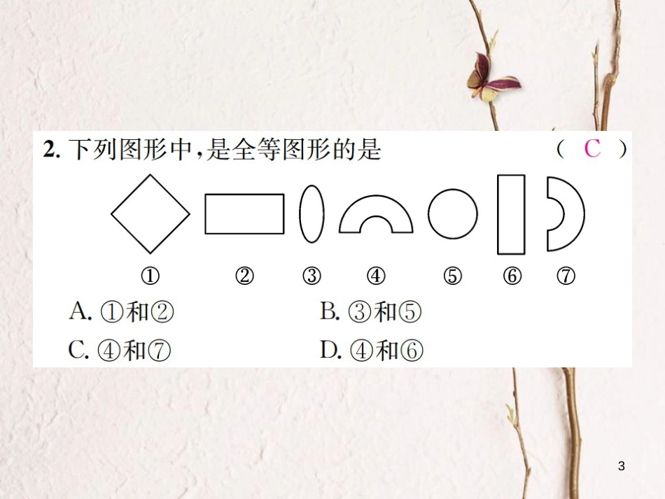 八年级数学上册 2.5 全等三角形 第1课时 全等三角形及其性质习题课件 （新版）湘教版_第3页