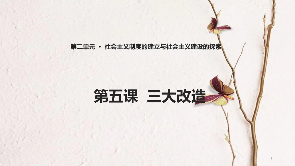 八年级历史下册 第二单元 社会主义制度的建立与社会主义建设的探索 第5课 三大改造课件4 新人教版_第1页