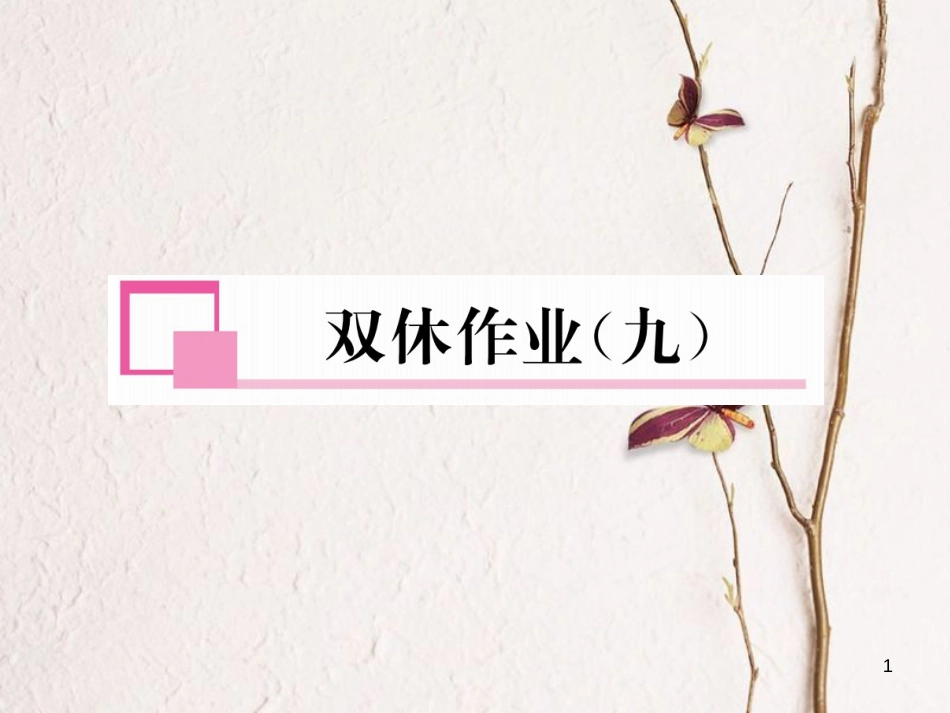 九年级数学下册 双休作业(9)作业课件 (新版)湘教版_第1页