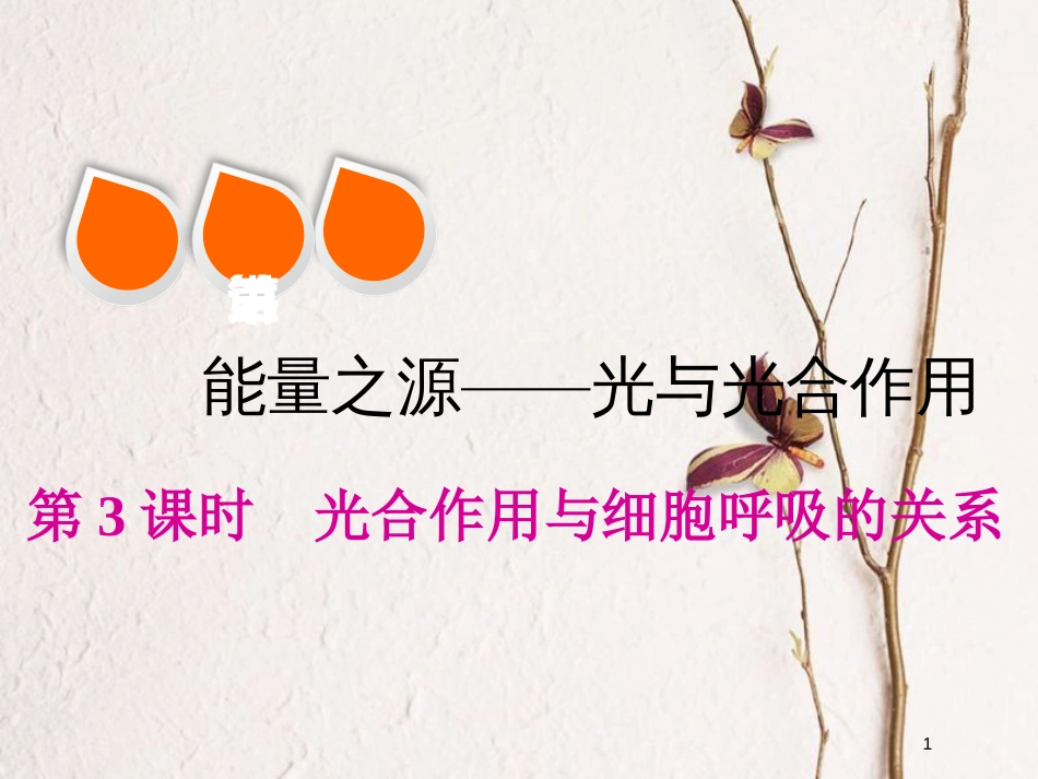 2019版高考生物一轮复习 第三单元 细胞的能量供应和利用 第三讲 第3课时 光合作用与细胞呼吸的关系精选课件_第1页