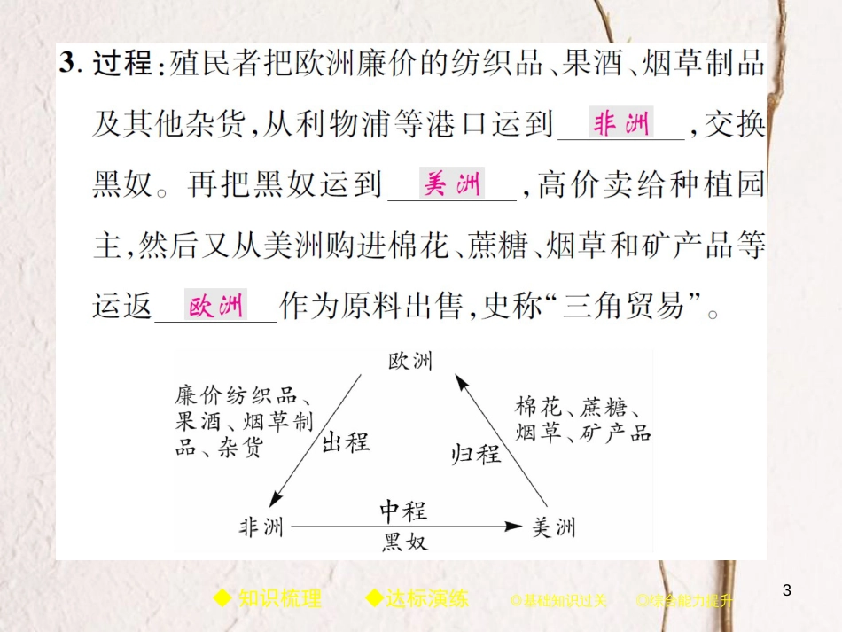 九年级历史上册 世界近代史(上)第一学习主题 欧美国家的巨变与殖民扩张 第16课 殖民扩张与反殖民斗争课件 川教版_第3页