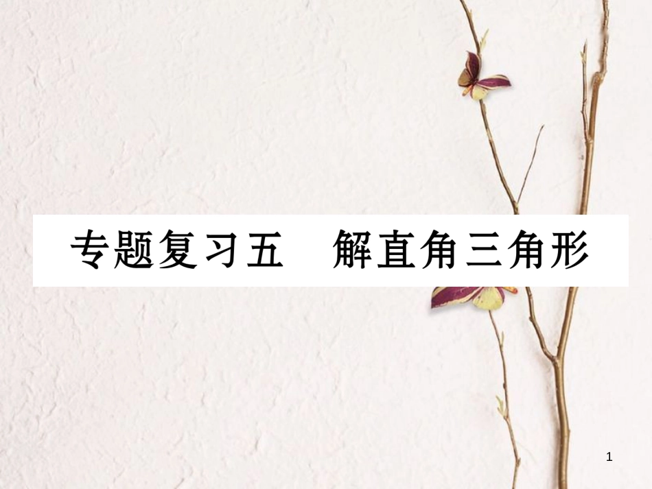 九年级数学下册 期末专题复习 专题复习5 解直角三角形作业课件 （新版）新人教版_第1页