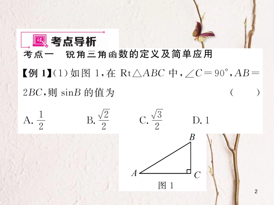 九年级数学下册 期末专题复习 专题复习5 解直角三角形作业课件 （新版）新人教版_第2页