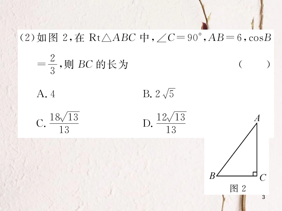 九年级数学下册 期末专题复习 专题复习5 解直角三角形作业课件 （新版）新人教版_第3页