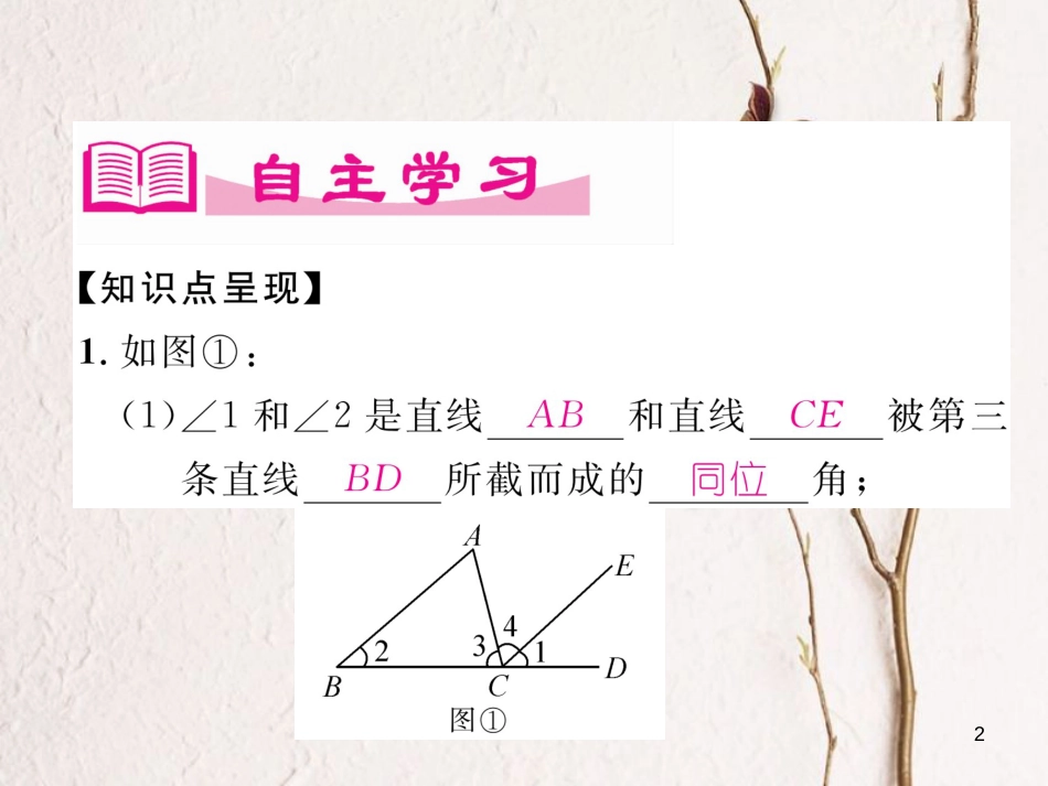 七年级数学下册 第2章 相交的平行线 2 探索直线平行的条件（2）作业课件 （新版）北师大版_第2页