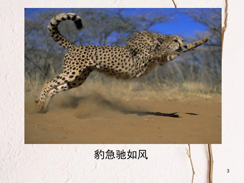 八年级物理上册 1.2《机械运动》课件1 北京课改版_第3页