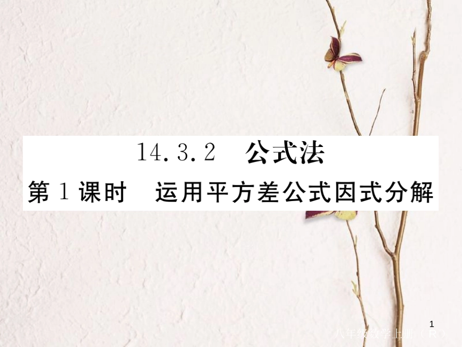 （贵州专用）八年级数学上册 14.3 因式分解 14.3.2 第1课时 运用平方差公式因式分解课件 （新版）新人教版_第1页