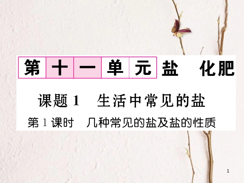 九年级化学下册 第11单元 盐 化肥 课题1 生活中常见的盐（第1课时）生活中常见的盐及盐的性质作业课件 （新版）新人教版_第1页