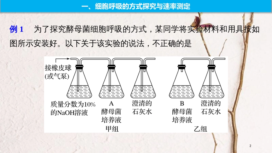 2019版生物高考大一轮复习 热点题型二 探究光合作用、细胞呼吸的方式及速率的测定方法课件 北师大版_第2页