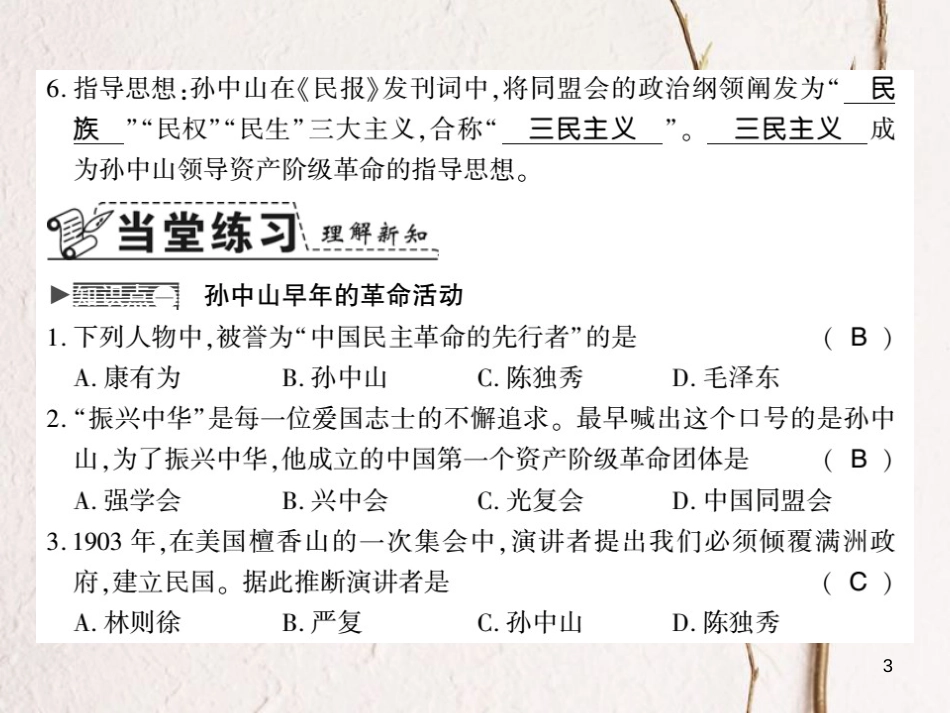 八年级历史上册 第三单元 资产阶级民主革命与中华民国的建立 第8课 革命先行者孙中山习题课件 新人教版_第3页
