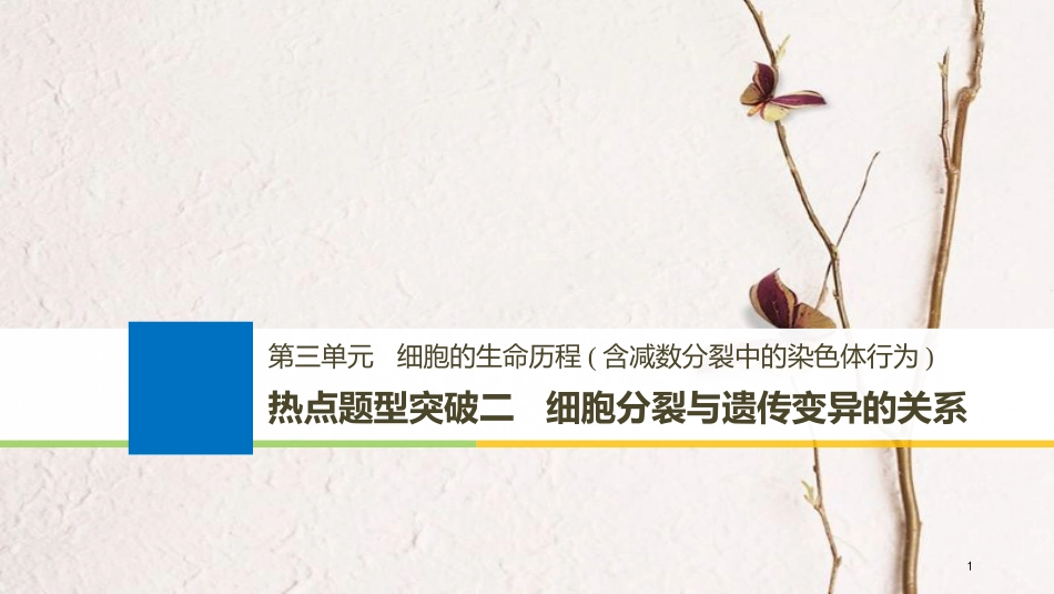 （浙江选考）2019版高考生物一轮总复习 第三单元 细胞的生命历程 热点题型突破二 细胞分裂与遗传变异的关系课件_第1页