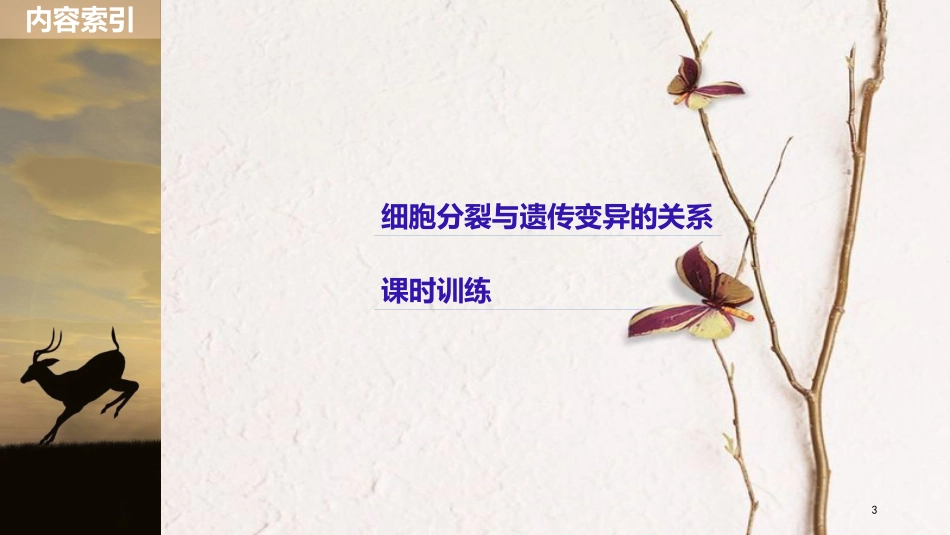 （浙江选考）2019版高考生物一轮总复习 第三单元 细胞的生命历程 热点题型突破二 细胞分裂与遗传变异的关系课件_第3页