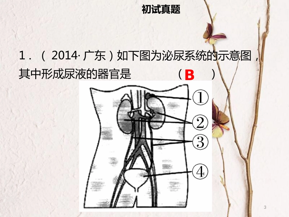 广东省中考生物 模块四 生物圈中的人 第四课时 人体代谢废物的排出课件_第3页