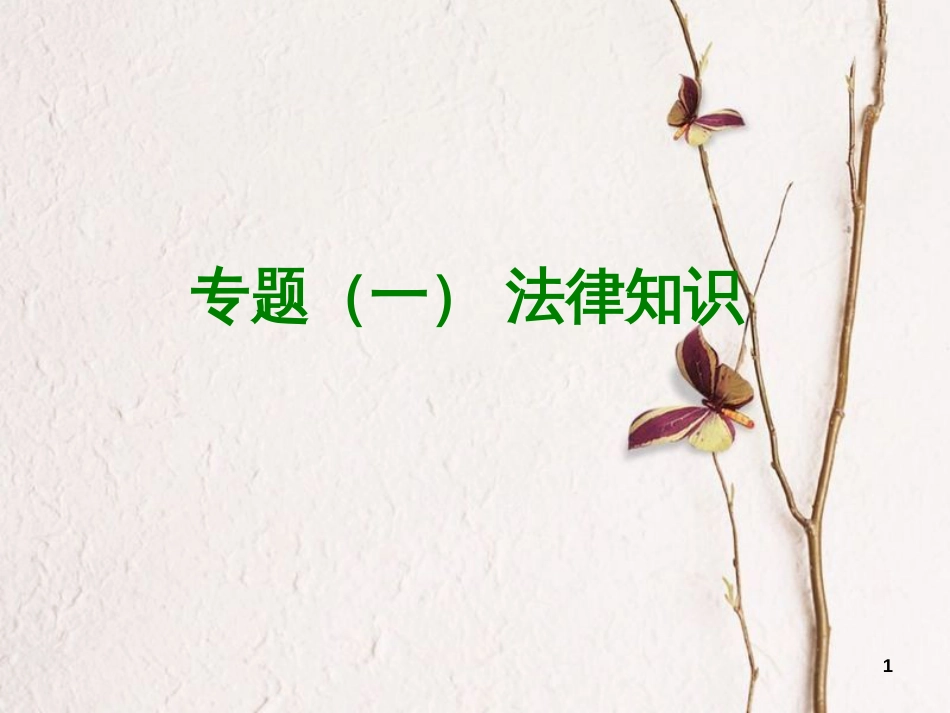 （呼和浩特专版）中考政治复习方案 第一部分 知识专题 专题一 法律知识 法律知识课件_第1页