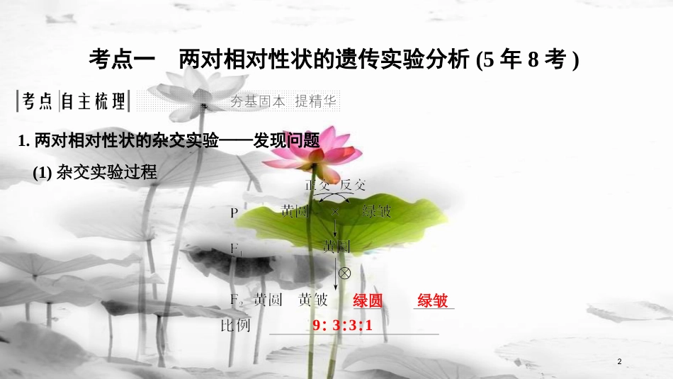 届高考生物一轮复习 第五单元 遗传的基本规律 第15讲 基因的自由组合定律课件_第2页