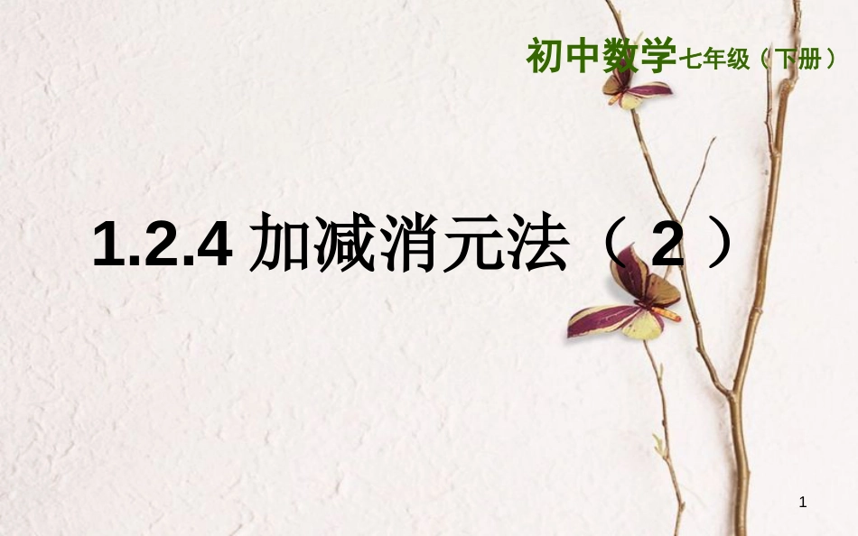 山东省东营市垦利区郝家镇七年级数学下册 1.2.4 加减消元法（2）课件 （新版）湘教版_第1页