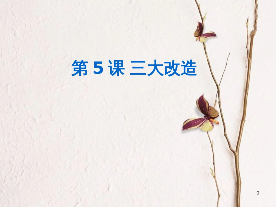 八年级历史下册 第2单元 社会主义制度的建立与社会主义建设的探索 第5课 三大改造课件2 新人教版_第2页