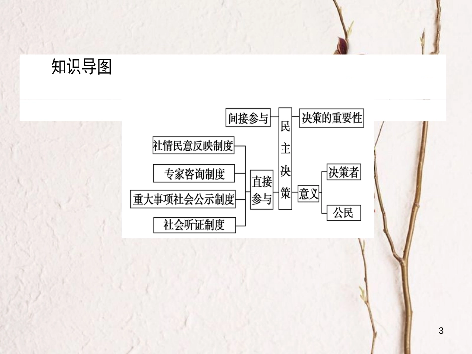 高中政治 1.2.2民主决策：作出最佳选择课件 新人教版必修2_第3页