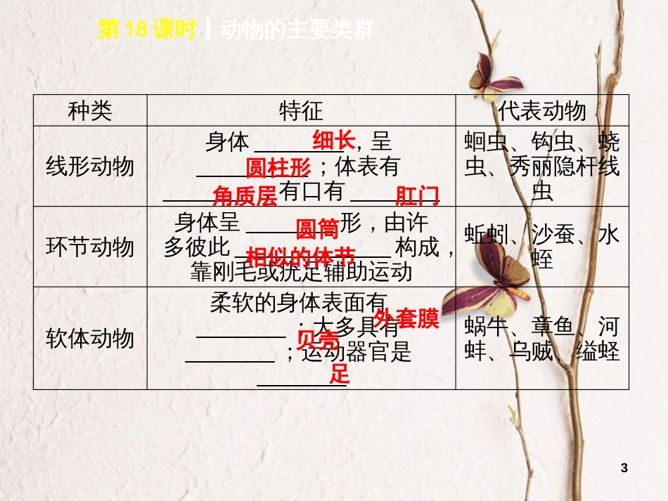 年中考生物 第五单元 生物圈中的其他生物 第18课时 动物的主要类群课件_第3页