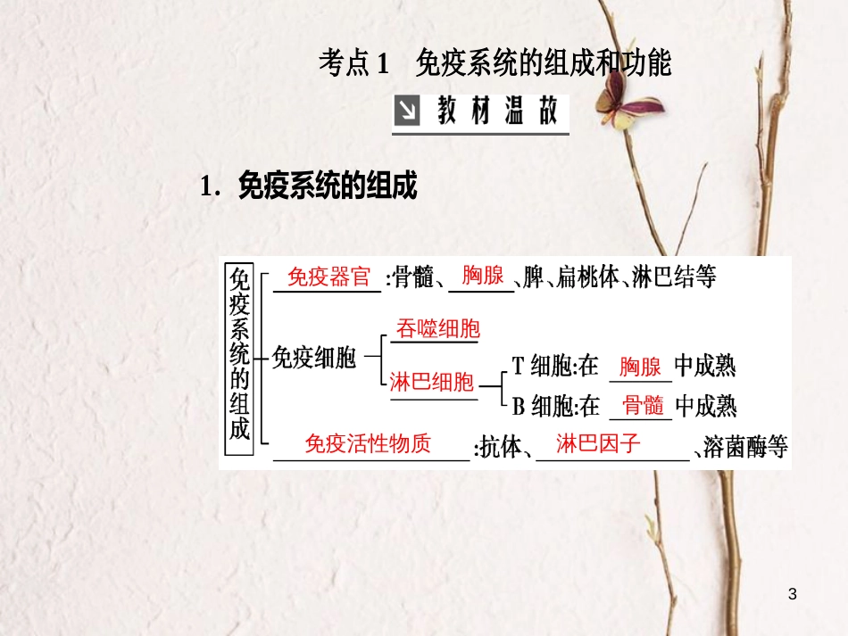 2019版高考生物总复习 第八单元 生命活动的调节 第4讲 免疫调节课件_第3页