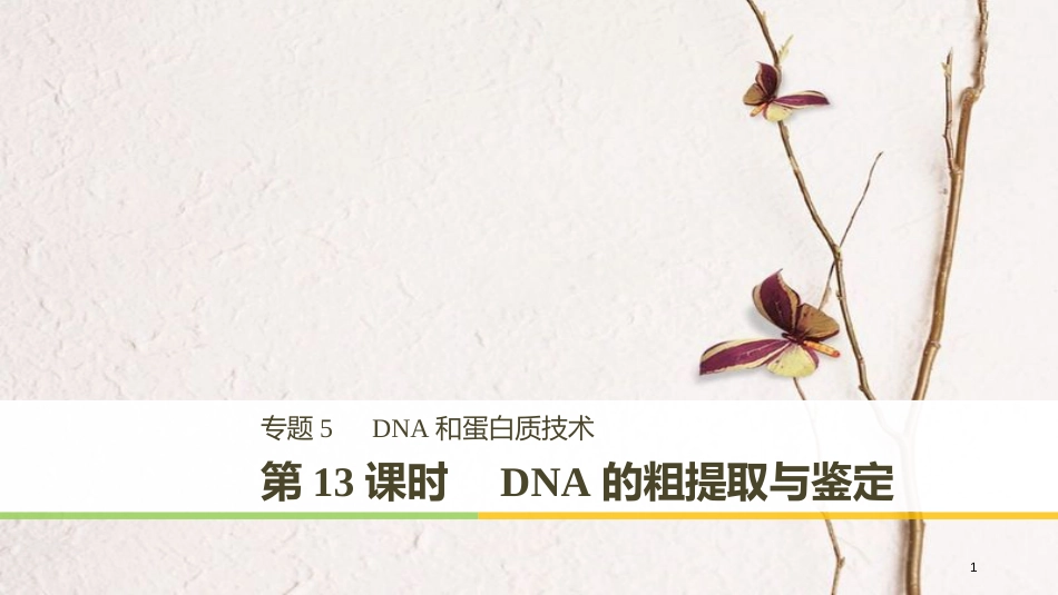 高中生物 专题5 DNA和蛋白质技术 第13课时 DNA的粗提取与鉴定同步备课课件 新人教版选修1_第1页