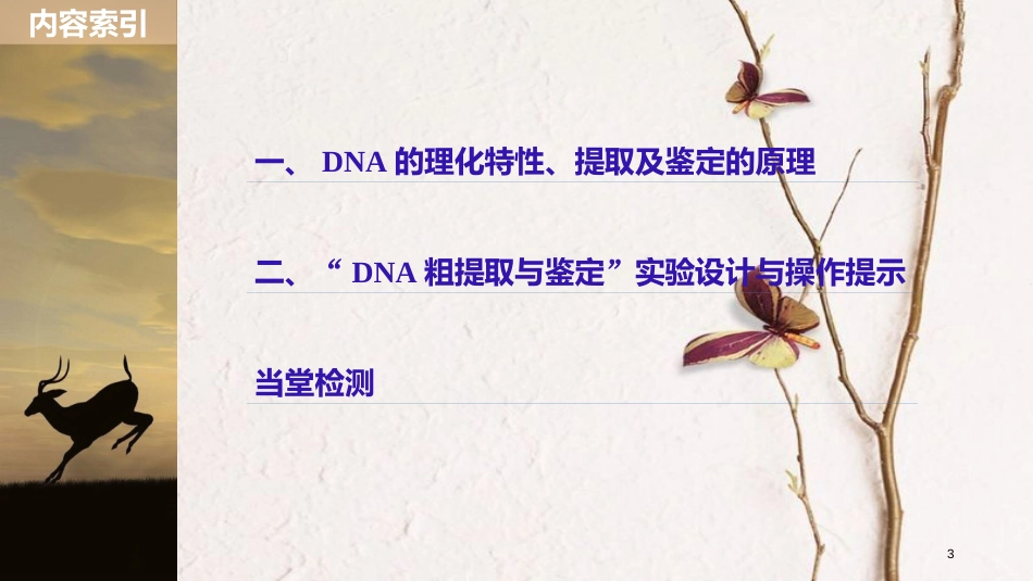 高中生物 专题5 DNA和蛋白质技术 第13课时 DNA的粗提取与鉴定同步备课课件 新人教版选修1_第3页